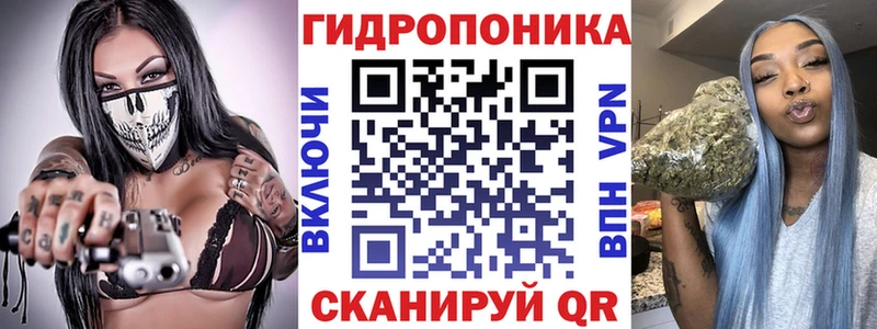 купить наркотики сайты  Шахунья  Канабис Bruce Banner 